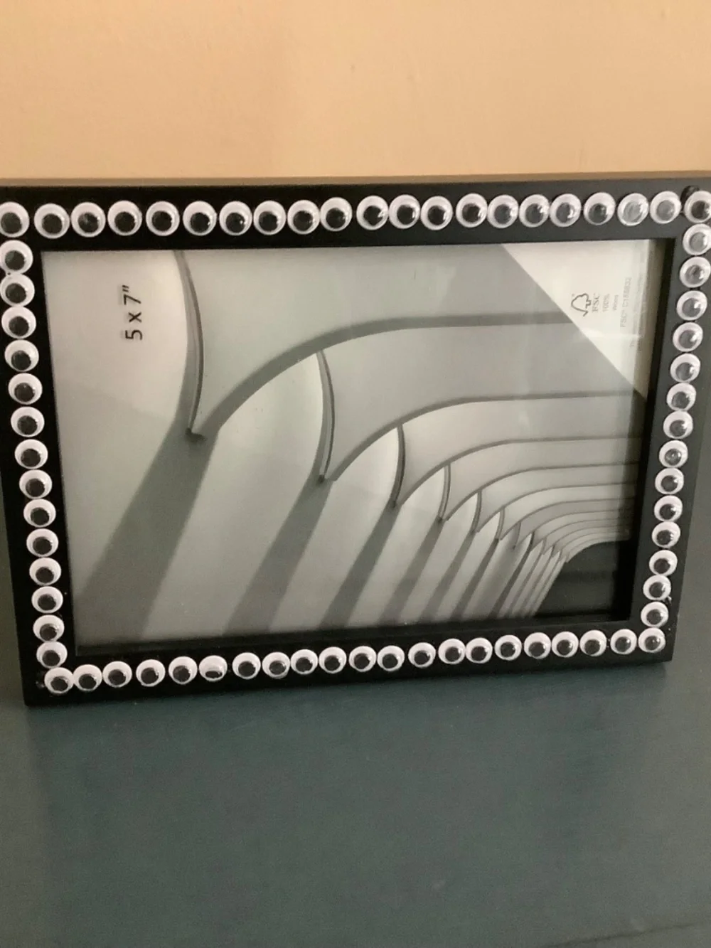5x7 googly eyes frame